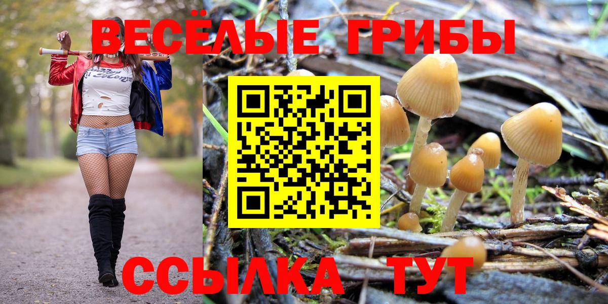 цены наркотик  Галлюциногенные грибы Magic Shrooms  Вход с VPN  Коркино 